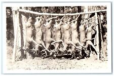 c1940's Good Hunting in Oregon Deer Sawyer Hanging RPPC Photo Vintage Postcard picture