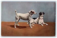 c1910's Fox Terrier Dogs Animals Oilette Tuck's Unposted Antique Postcard picture