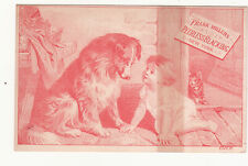 Frank Miller's Peerless Blacking Baby Collie Dogg Red Cat Vict Card c1880s picture