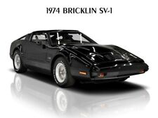 1974 Bricklin SV-1 in Black Metal Sign: LARGE SIZE 12 X 16 -  picture