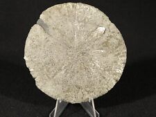 Big Pyrite SUN or Pyrite Crystal DISC 100% Natural Illinois 143gr picture