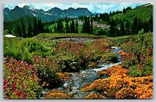Postcard Wildflowers Paradise Valley Mount Rainier National Park WA Chrome picture