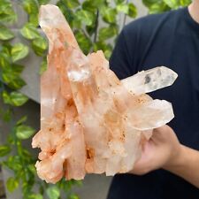 1285G Large Natural White Clear Quartz Crystal Cluster Raw Healing Specimen picture