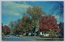 Postcard Beautiful Maple Trees line the avenue in Hiawatha Kansas, Posted 1964 picture