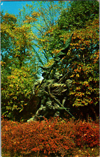 Vintage 1959 North Carolina Memorial at Gettysburg Park Pennsylvania PA Postcard picture