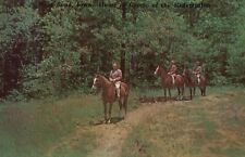 Postcard IA West Bend Iowa Horseback Riding Trails Chrome Vintage PC G7904 picture