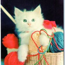 c1950s Oakwood, OH Greetings Adorable Cute White Kitten Yarn Chrome Photo A144 picture