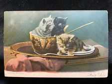 ANTIQUE TUCK'S POSTCARD KITTENS WAITING FOR MORE KITTENDOM SERIES POSTED IN 1906 picture