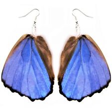 Morpho didius hindwing blue butterfly wing earrings picture