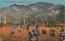 Postcard Gathering Poppies Midwinter California CA  picture