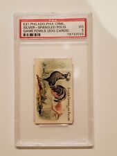 E31 Philadelphia, Zoo Cards, Game Fowl, 1907, Silver Spangled Polis, PSA 3 VG picture