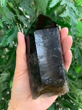 Extra Large Natural Smoky Quartz Crystal Points, 2-3 Inches Smoky Quartz Point picture