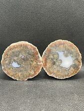 Mexican Sonora Agate  Set Polished For Display picture