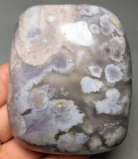 226g NATURAL flower agate palm QUARTZ CRYSTAL stone HEALING picture