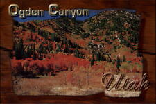 Ogden Canyon Utah colorful autumn foliage unused vintage postcard sku211 picture