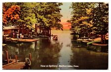Vintage View at Spillway, Reelfoot Lake, TN Postcard picture