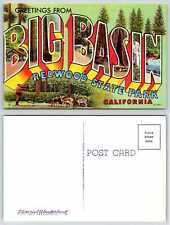 Big Basin Redwood State Park California LARGE LETTERS Postcard O374 picture