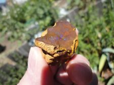 Australian Boulder Opal natural Shape Raw Nugget 42gr. Thumbnail specimen picture
