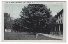 Morton,  New York, Vintage Postcard View of Grove, Beechwood Park picture