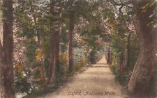 Postcard Tree Lined Lane Addison's Walk Oxford England UK picture