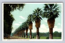 Riverside CA-California, Magnolia Avenue, Advertisement, Vintage Postcard picture