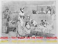 Dog English Bulldog Show, Admiring the Contestants, Large 1880s Antique Print picture