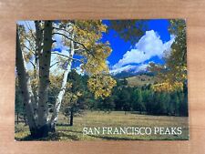 Vintage Postcard, San Francisco Peaks, Landscape, Flagstaff, Arizona picture