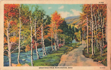 Manchester OH Ohio, Greetings, Country Road, Scenic Fall Color, Vintage Postcard picture