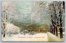 Vintage Postcard OH Conneaut Winter Scene Snow Treets -5210 picture