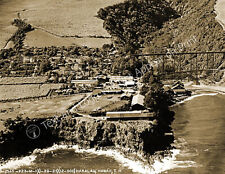 1925 Aerial View of Hakalau, Hawaii Vintage Old Photo Reprint picture