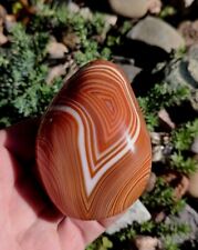 MADAGASCAR DISPLAY AGATE 11.5OZ, OUTSTANDING RED & WHITE GEM. ONYX SHOW AGATE picture