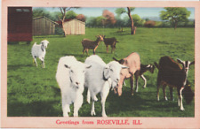Vintage Postcard Greetings From Roseville IL 1962 picture
