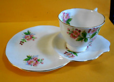 VINTAGE FLORAL TENNIS SET CUP & PLATE BY ROYAL ALBERT EVESHAM MADE IN ENGLAND picture