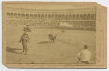 A Bullfighting Scene Antique Cabinet Photograph by E. Beauchy Sevilla Spain C6 picture