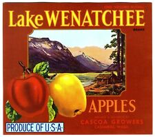 LAKE WENATCHEE~1940s CASHMERE WASHINGTON APPLE FRUIT CRATE LABEL with LOG CABIN picture