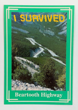 I Survived Beartooth Highway Leaving Red Lodge Montana Postcard Unposted picture