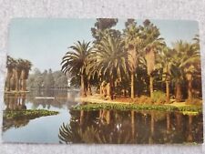 Echo Park Lake Los Angeles CA Palm Trees Union Oil Scenes of the West Postcard picture