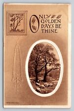 c1911 The Shepherdess Only Golden Days Be Thine Embossed ANTIQUE Postcard 1098 picture