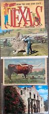 Vintage Postcard Lot of 4 POSTCARDS Texas Big Jack The Alamo & Longhorn Fun picture