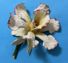 Antique Capodimonte Porcelain Orchid from Italy, Beautiful, One Issue picture