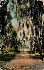 Jacksonville, FL On the St. John's River Panama Park Antique 1914 Postcard J598 picture