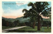 HOPE BOTANICAL GARDENS & MANDEVILLE GRAPE FRUITS AT JAMAICA SOFT PICTURE CARDS picture