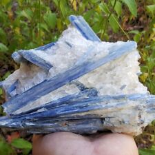 VERY FINE7 INCH DEEP BLUE KYANITE CRYSTALS WITH QUARTZ picture