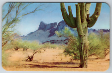 c1960s Picacho Peak Cactus Desert Arizona Phoenix Tucson Vintage Postcard picture