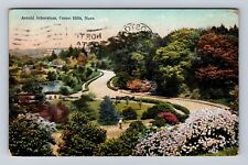 Forest Mills MA-Massachusetts, Arnold Arboretum, Antique Vintage c1909 Postcard picture