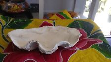 Clam Shell ~ Giant Tridacna Shell. Lunar look exterior with ruffles picture