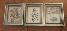 3 Small Vintage Framed Botanical Engravings 3.5”x4” picture