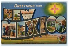 1955 Greetings From New Mexico Las Cruces Large Letter Spell Out Postcard picture
