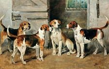 Art Oil painting John+Emms-Study+Of+Hounds  cost canvas art picture