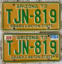 MVD clear 1973 Arizona passenger car license plates TJN-819 73 74 75 76 77 78 79 picture